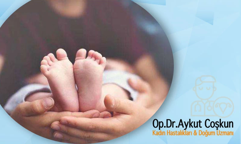 bağlantı Miktar olarak Durum  Tüp Bebek Tedavisinde Başarı - Op. Dr. Aykut Coşkun